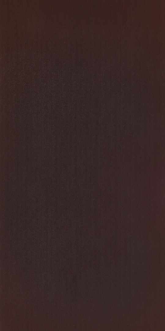 DXN　W　6688 イメージ