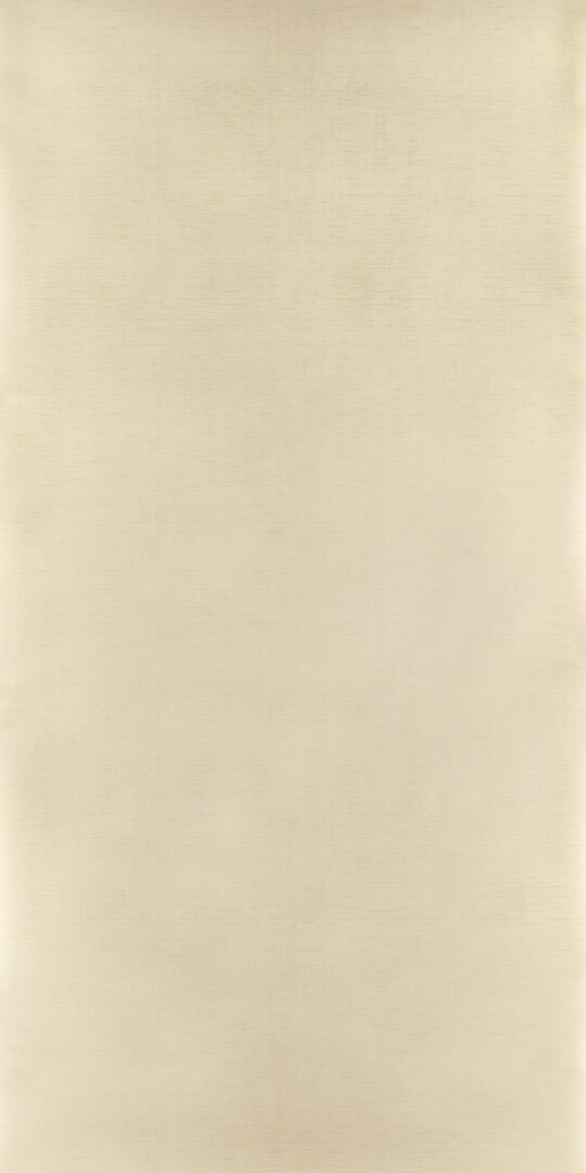 DXN　V　6826 イメージ