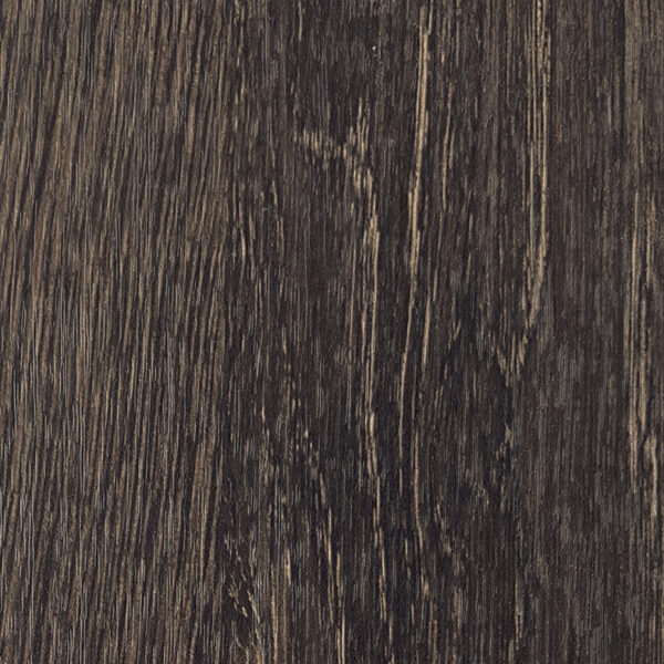 DXN　W　7232 イメージ