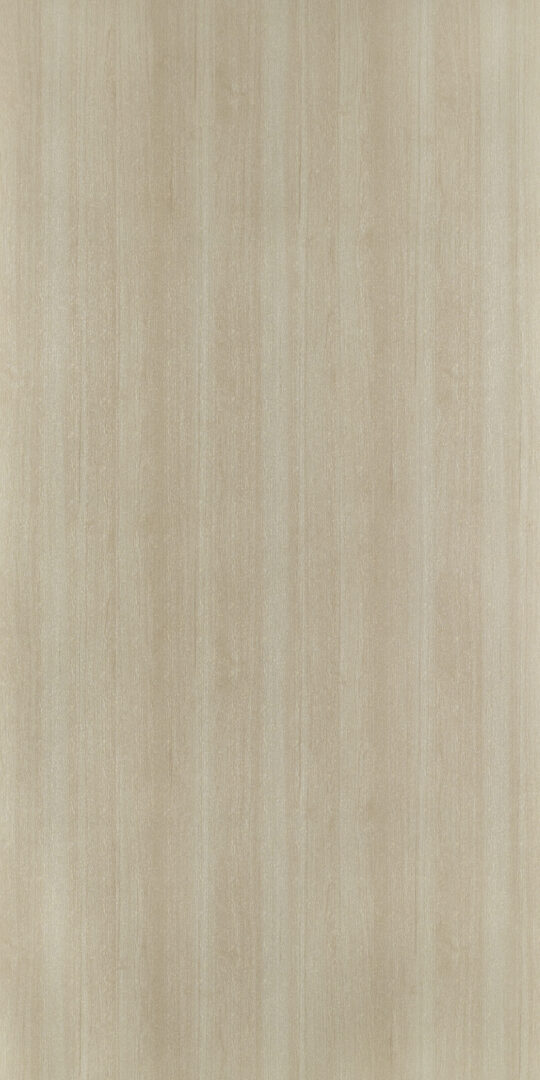 DXN　W　7272 イメージ