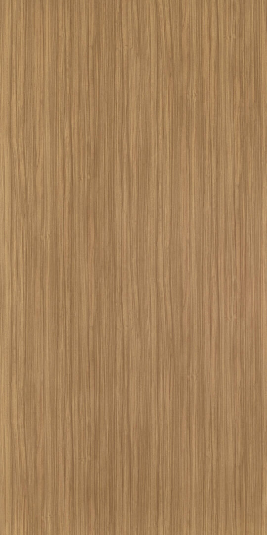 DXN　V　7351 イメージ