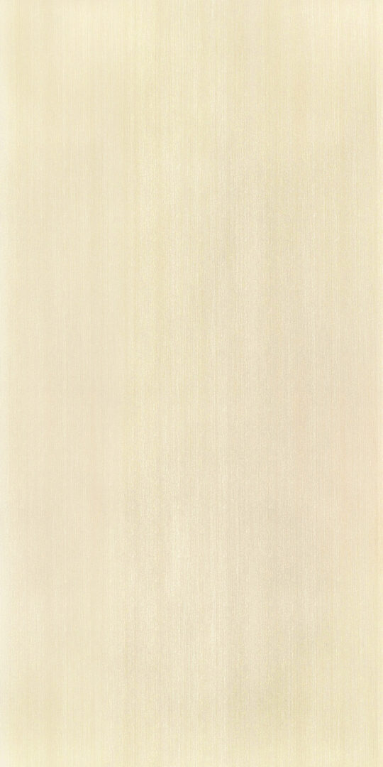 DXN　W　7404 イメージ