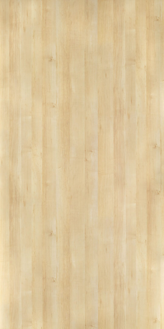 DXN　V　7421 イメージ