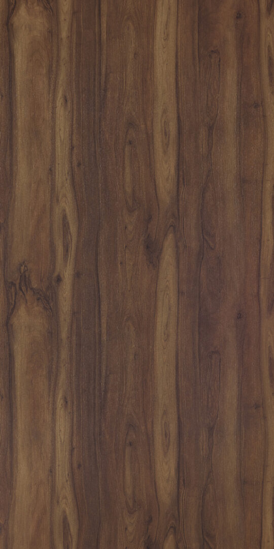 DXN　W　7851 イメージ