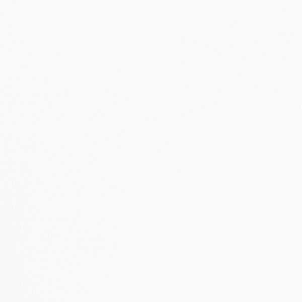 DXN　V　899 イメージ