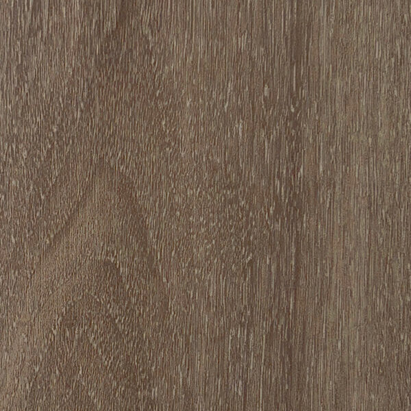 DXV　W　7172W イメージ