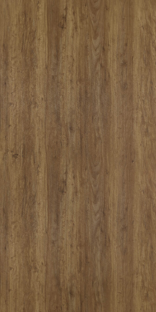 DXV　W　7192 イメージ