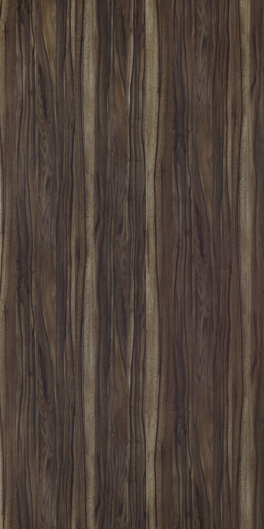 DXV　W　7841 イメージ