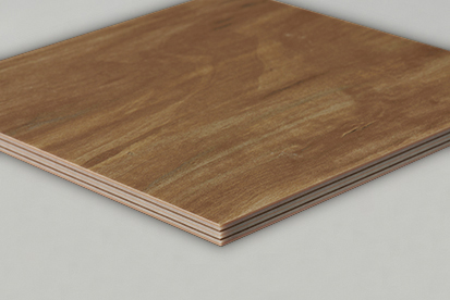 DXV　W　7192 イメージ